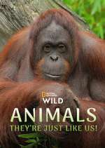 Watch Animals, They\'re Just Like Us! Fmovies