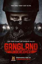 Watch Gangland Undercover Fmovies