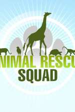Watch Animal Rescue Squad Fmovies