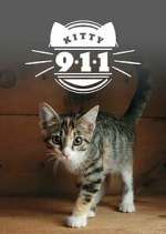 Watch Kitty 911 Fmovies