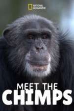 Watch Meet the Chimps Fmovies