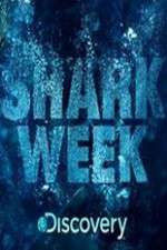 Watch Shark Week Fmovies