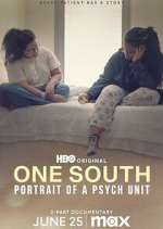 Watch One South: Portrait of a Psych Unit Fmovies