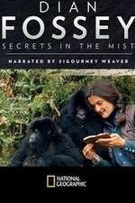 Watch Dian Fossey: Secrets in the Mist Fmovies