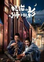 Watch The Lion's Secret Fmovies