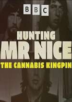Watch Hunting Mr Nice: The Cannabis Kingpin Fmovies