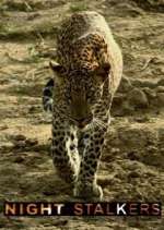 Watch Night Stalkers Fmovies