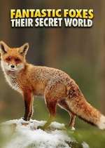 Watch Fantastic Foxes: Their Secret World Fmovies