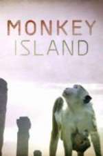 Watch Monkey Island Fmovies