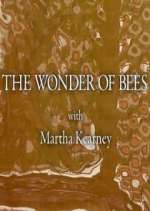 Watch The Wonder of Bees with Martha Kearney Fmovies