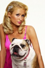 Watch Paris Hilton's British Best Friend Fmovies