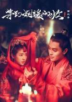 Watch Buried City to Shut All Lights Fmovies