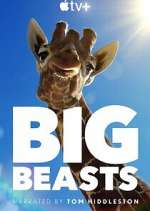 Watch Big Beasts Fmovies