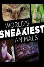 Watch World's Sneakiest Animals Fmovies
