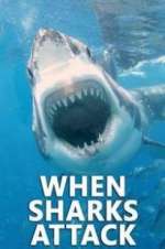 Watch When Sharks Attack Fmovies