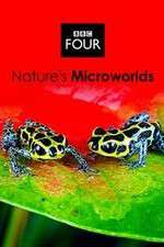 Watch Natures Microworlds Fmovies