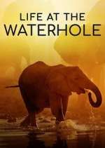 Watch Life at the Waterhole Fmovies