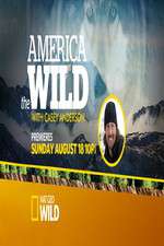 Watch America the Wild Fmovies