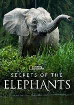 Watch Secrets of the Elephants Fmovies