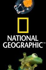 Watch Nat Geo Amazing! Fmovies