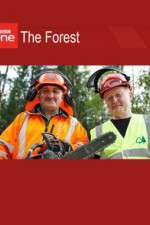 Watch The Forest Fmovies