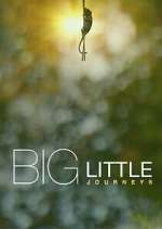 Watch Big Little Journeys Fmovies