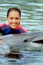 Watch Flipper (The New Adventures of Flipper) Fmovies
