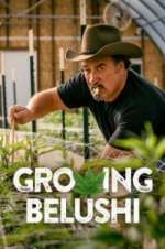 Watch Growing Belushi Fmovies