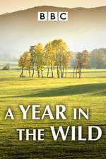 Watch A Year in the Wild Fmovies