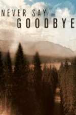 Watch Never Say Goodbye Fmovies