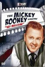 Watch The Mickey Rooney Show Fmovies