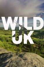 Watch Wild UK Fmovies