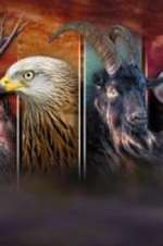 Watch Wales: Land of the Wild Fmovies