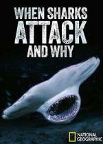Watch When Sharks Attack... And Why Fmovies