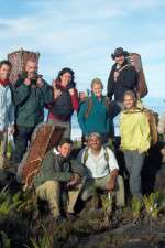 Watch Out Of The Wild: Venezuela Fmovies