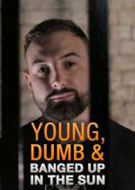 Watch Young Dumb & Banged Up in the Sun Fmovies