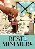 Watch Best in Miniature Fmovies
