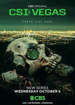 csi: vegas tv poster