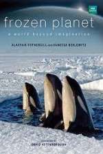 Watch Frozen Planet Fmovies