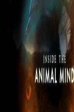 Watch Inside the Animal Mind Fmovies