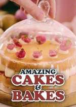 Watch Amazing Cakes & Bakes Fmovies