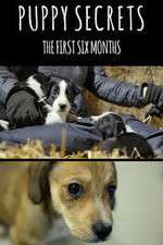 Watch Puppy Secrets: The First Six Months Fmovies