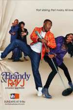 Watch Brandy and Ray J: A Family Business Fmovies