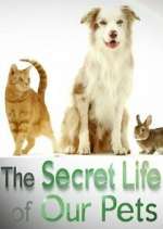 Watch The Secret Life of Our Pets Fmovies