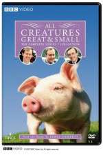 Watch All Creatures Great and Small Fmovies