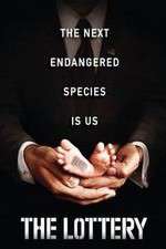 Watch The Lottery Fmovies