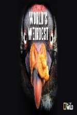 Watch National Geographic Worlds weirdest Fmovies