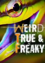 Watch Weird, True & Freaky Fmovies