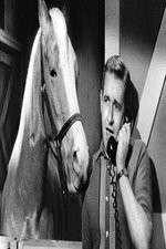 Watch Countdown to... Fmovies