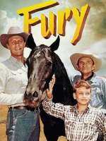 Watch Fury Fmovies